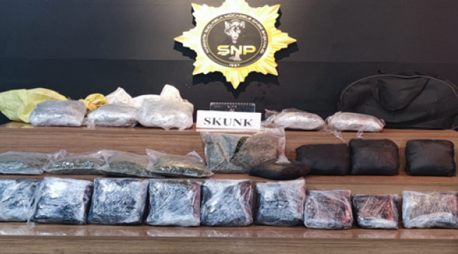 Şanlıurfa'da 15 kilo 550 gram skunk ele geçirildi,1 gözaltı