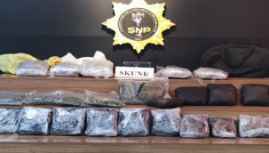 Şanlıurfa'da 15 kilo 550 gram skunk ele geçirildi,1 gözaltı