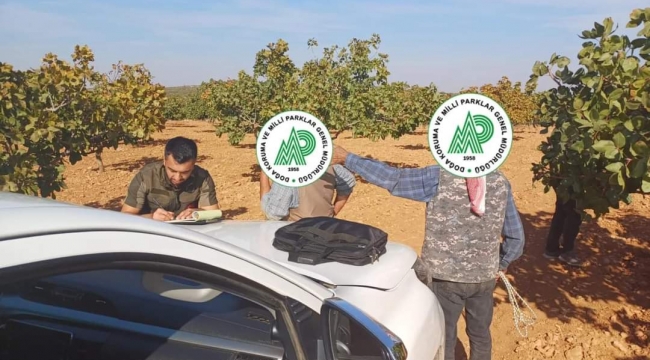 Şanlıurfa'da 6 kaçak avcıya ceza