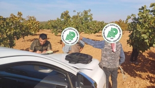 Şanlıurfa'da 6 kaçak avcıya ceza