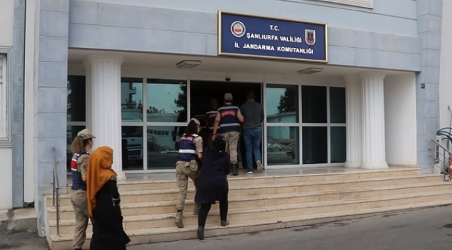 Şanlıurfa'da Jandarmadan El Halaf çetesine operasyon!