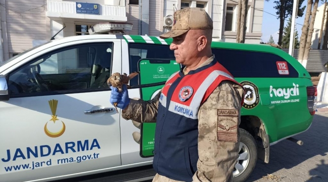 Şanlıurfa'da kaçak avcılara 57 bin lira ceza kesildi