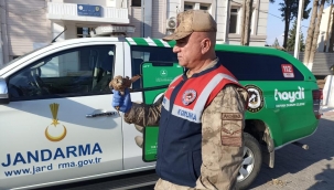 Şanlıurfa'da kaçak avcılara 57 bin lira ceza kesildi