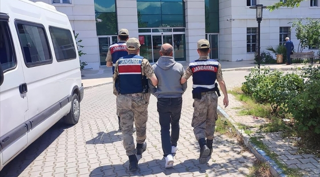 Şanlıurfa'da terör örgütün hücre yapılanmasına operasyon!