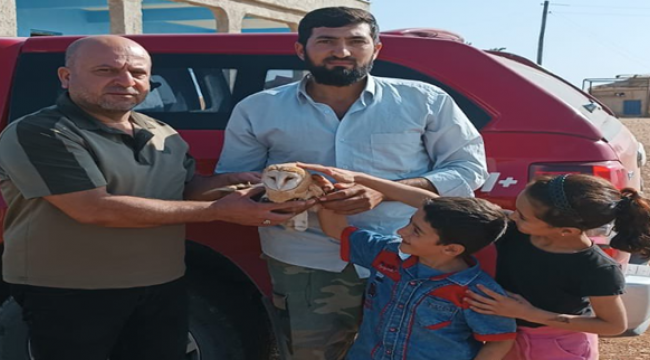 Şanlıurfa'da yaralı bulunan peçeli baykuş ve Balaban kuşu tedavi altına alındı