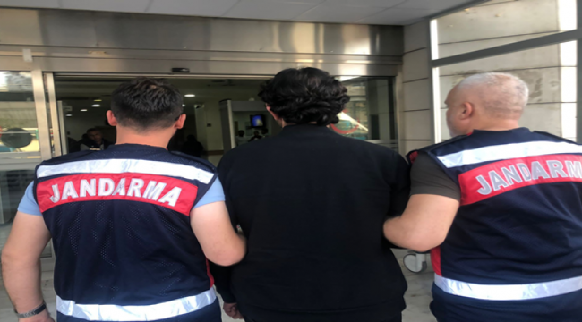 Urfa'da terör operasyonu, Çok sayıda gözaltı