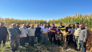 Bozova Mısır Rekoltesinde Türkiye Rekorunu Kırdı