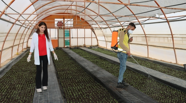 Büyükşehir'den her mevsim için çiçek 