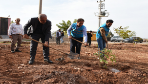 Hilvan'da Filistinli çocuklar anısına fidan dikildi