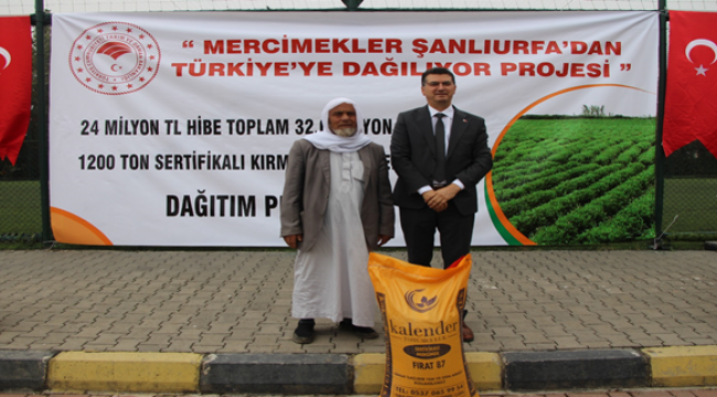Şanlıurfa'da 297 çiftçiye mercimek tohumu dağıtıldı