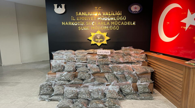 Şanlıurfa'da 46 Kilo Skunk Ele geçirildi 1 Kişi Gözaltına Alındı