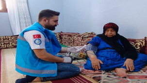 Şanlıurfa'da asırlık çınarlara ziyaret