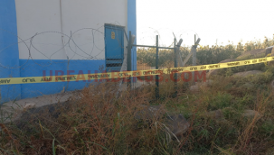 Şanlıurfa'da elektrik akımına kapılan 2 kişi hayatını kaybetti