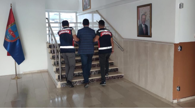 Şanlıurfa'da ortak operasyon, 381 tutuklama
