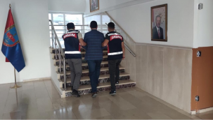 Şanlıurfa'da ortak operasyon, 381 tutuklama