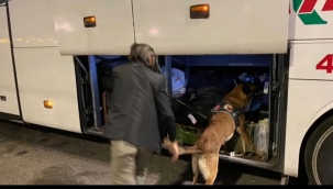 Şanlıurfa'da torbacı operasyonu, 211 tutuklama 