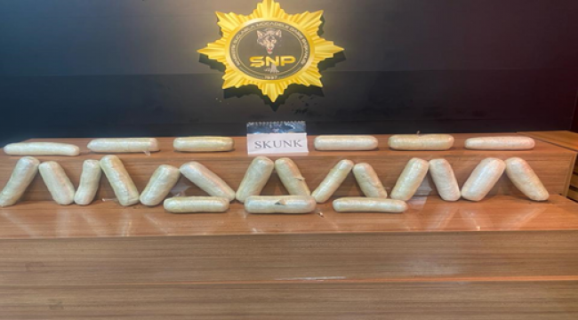 Şanlıurfa'da uyuşturucu operasyonu,  1 gözaltı