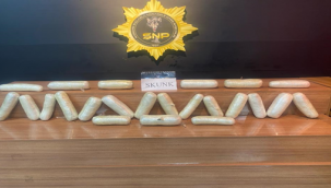 Şanlıurfa'da uyuşturucu operasyonu,  1 gözaltı