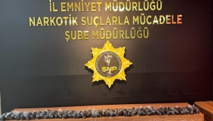 Şanlıurfa'da uyuşturucu operasyonu, 2 gözaltı 