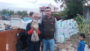 Urfa'da bitkin halde bulunan Kızıl Şahin koruma altına alındı