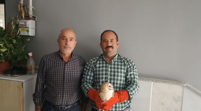 Urfa'da tedavi altına alındılar 