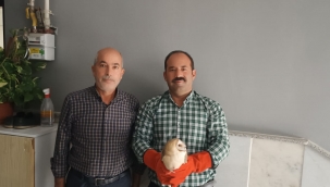 Urfa'da tedavi altına alındılar 