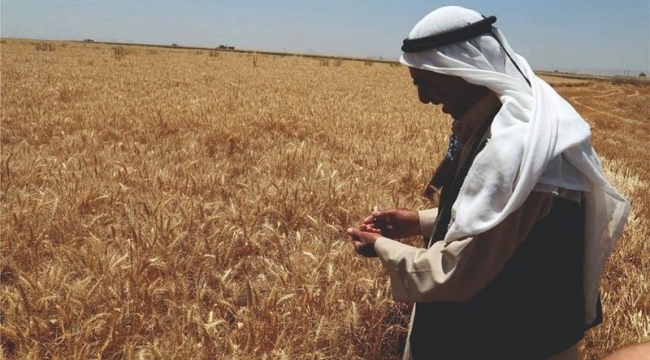 4 Milyar TL'lik destek ödemesi bugün yatıyor