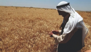 4 Milyar TL'lik destek ödemesi bugün yatıyor