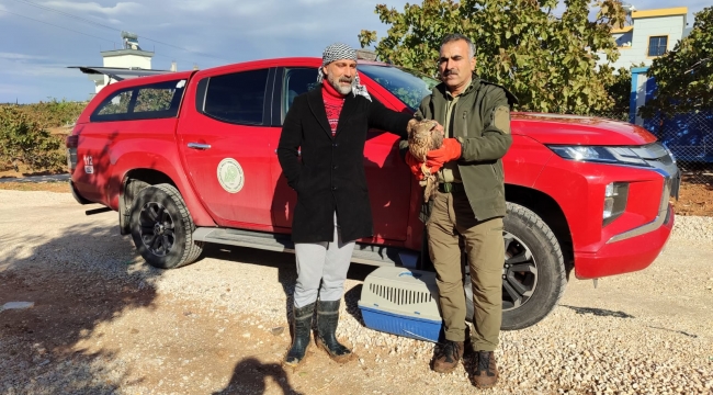 Bitkin halde bulundu 