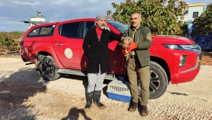 Bitkin halde bulundu 