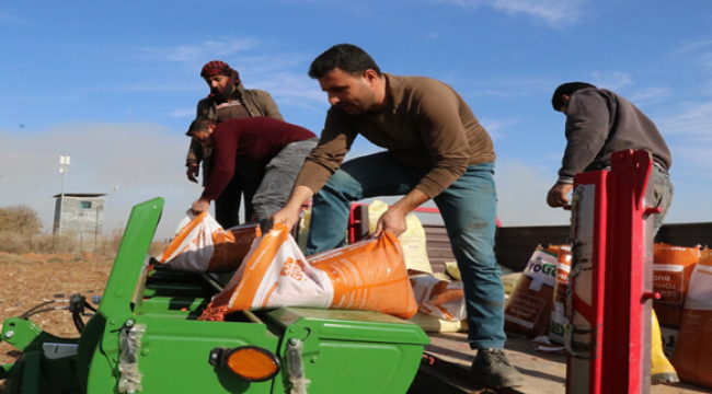 Büyükşehir Belediyesi Buğday Ekimine Başladı