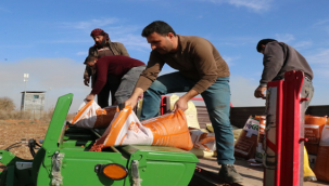 Büyükşehir Belediyesi Buğday Ekimine Başladı