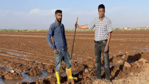 Eyyübiye'de 100 muhtardan İsa İzgi'ye dilekçeli destek