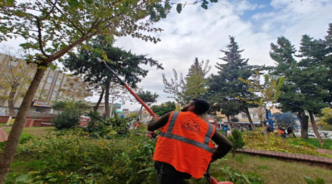 Eyyübiye Parklarında Bakım Zamanı