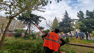 Eyyübiye Parklarında Bakım Zamanı