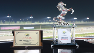 Harran Belediyesi Koşusunu Calibration Kazandı