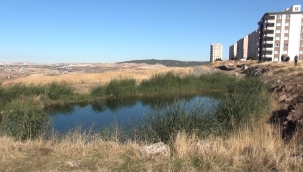 HÜDA PAR: Karaköprü'de 4 yıllık çile..!