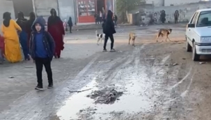 Okul yolunda korku dolu anlar