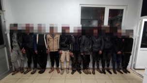 Şanlıurfa'da 9 organizatör tutuklandı