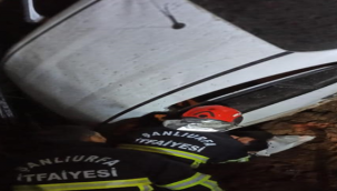 Şanlıurfa'da kontrolden çıkan araç çukura düştü