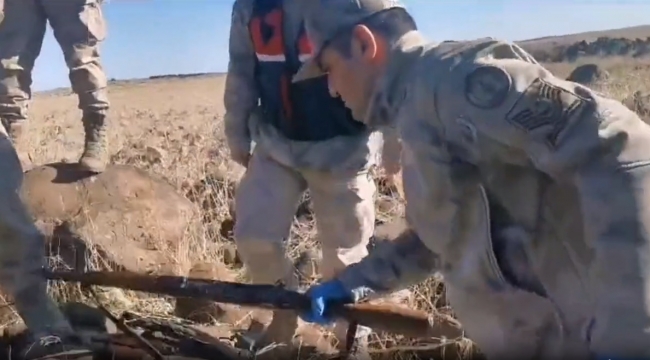 Şanlıurfa'da uyuşturucu ve silah kaçakçılarına operasyon, 74 gözaltı