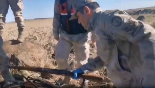 Şanlıurfa'da uyuşturucu ve silah kaçakçılarına operasyon, 74 gözaltı