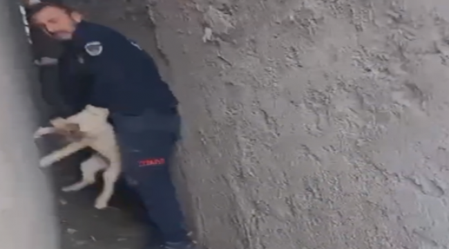 Urfa'da iki duvarın arasına sıkışan köpeği itfaiye kurtardı