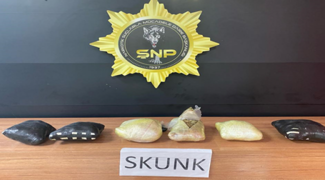 Urfa'da uyuşturucu operasyonu, 1 gözaltı