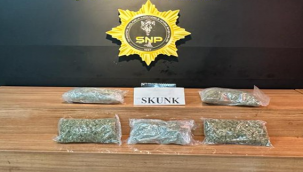 Urfa'da uyuşturucu operasyonu, 1 gözaltı