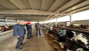 Hayvancılık destek projeleriyle gelişiyor