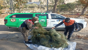 Jandarma ekipleri 600 metre kaçak ağ ele geçirdi