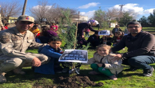 Öğrenciler şehitlerin anısına fidan dikti