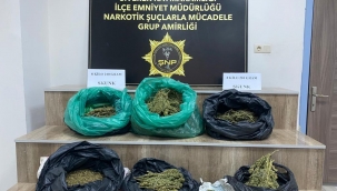 Şanlıurfa'da  8 kilo  skunk ele geçirdi