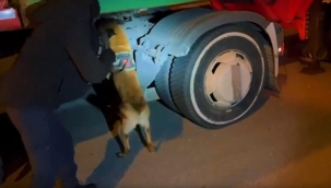 Şanlıurfa'da 85 kilo 750 gram skunk maddesi ele geçirildi